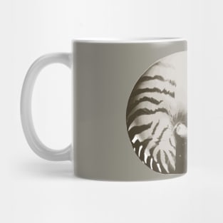 Nautilus Shell Mug